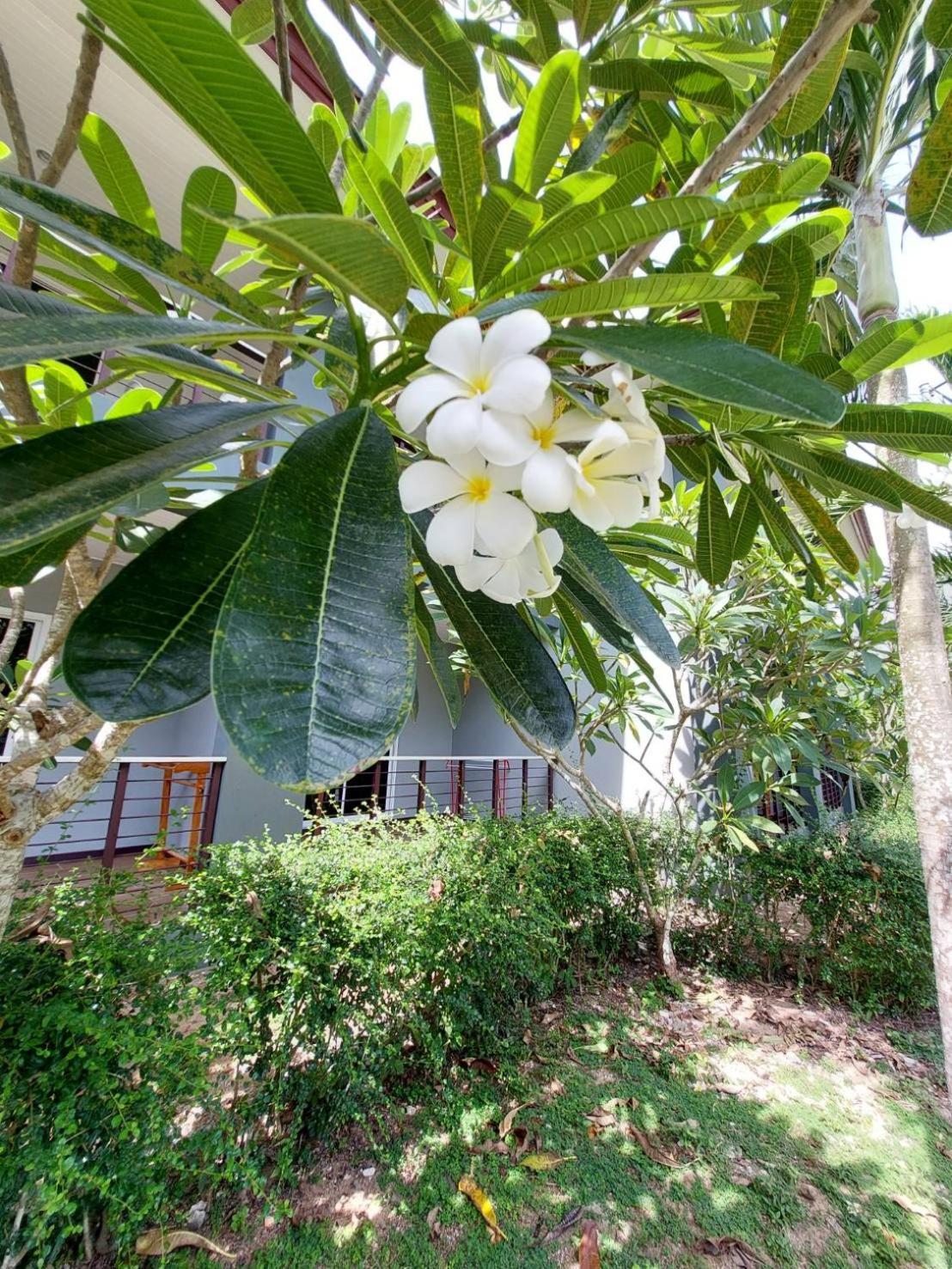 Sisina Resort Prachuap Khiri Khan Dış mekan fotoğraf